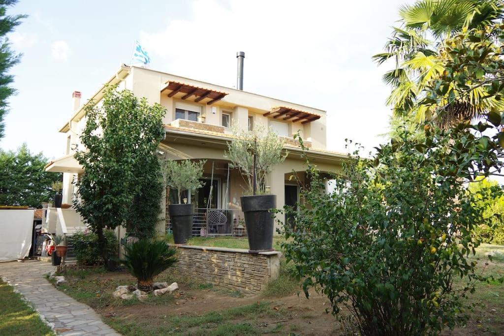 Villa Vasili Tríkala Exteriér fotografie