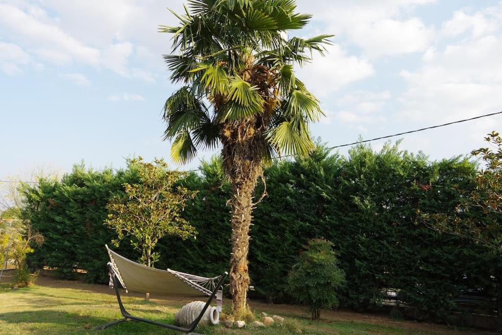Villa Vasili Tríkala Exteriér fotografie