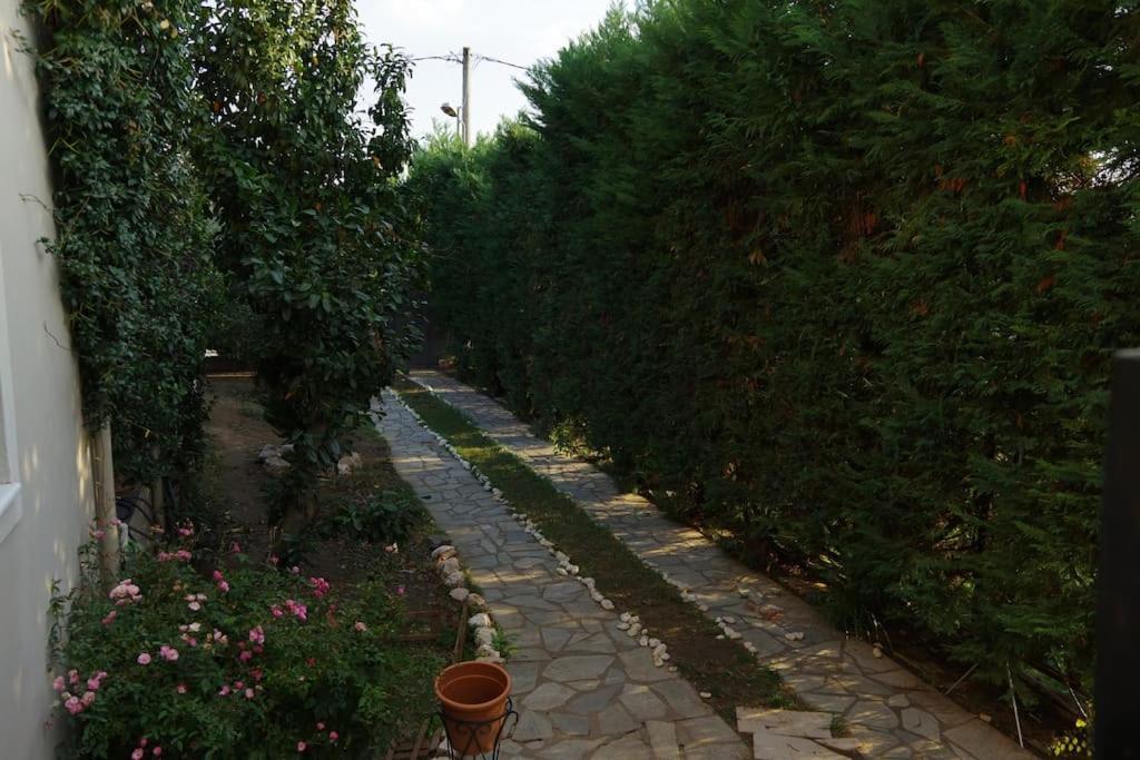 Villa Vasili Tríkala Exteriér fotografie